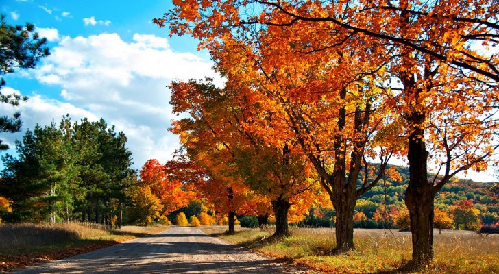 احذر من البرودة في آخر الليل.. طقس اليوم السبت 25 أكتوبر 2025